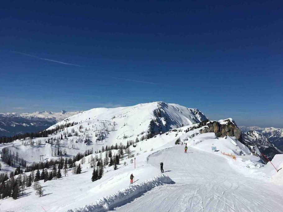 Alpenurlaub II Wohnung Mit Traumausblick باد ميترندورف المظهر الخارجي الصورة