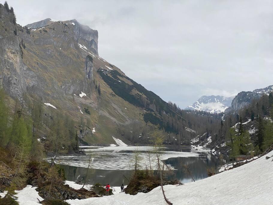 Alpenurlaub II Wohnung Mit Traumausblick باد ميترندورف المظهر الخارجي الصورة